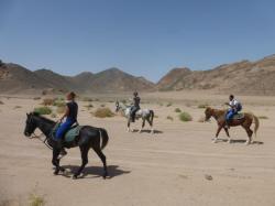 Horse Riding -Desert