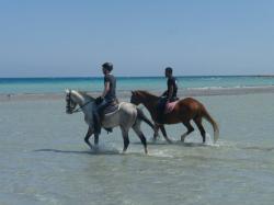 Horse Riding - Beach